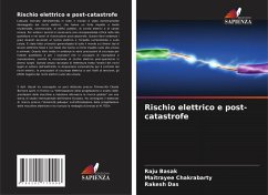 Rischio elettrico e post-catastrofe - Basak, Raju;Chakrabarty, Maitrayee;Das, Rakesh