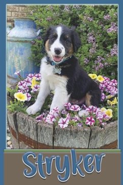 Cover Stryker the English Shepherd Dog