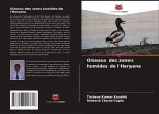Oiseaux des zones humides de l'Haryana