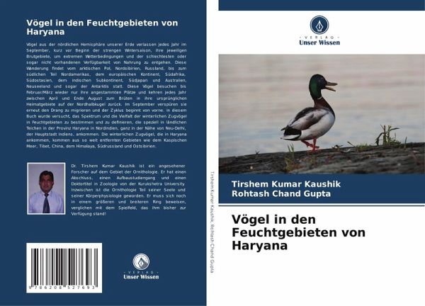 Vögel in den Feuchtgebieten von Haryana