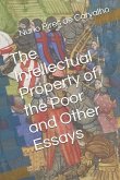 The Intellectual Property of the Poor and Other Essays on the Social and Economic Function of IP