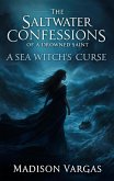 The Saltwater Confessions of a Drowned Saint (eBook, ePUB)
