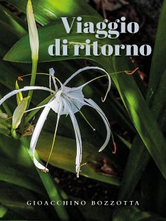 Viaggio di ritorno (eBook, ePUB) - Bozzotta, Gioacchino