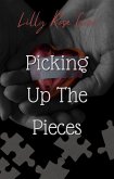 Picking Up The Pieces (eBook, ePUB)