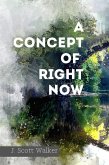 A Concept of Right Now (eBook, ePUB) A Concept of Right Now (eBook, ePUB)