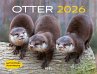 Otter Kalender 2026 Wandkalender... - Bild 1