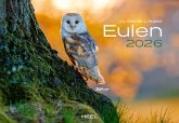 Eulen Kalender 2026 Eulen Kalender 2026