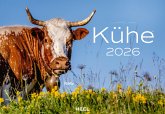 Kühe Kalender 2026 Wandkalender Kühe Kalender 2026 Wandkalender