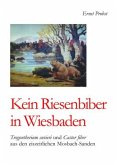 Kein Riesenbiber in Wiesbaden