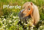 Pferde Kalender 2026 Wandkalender
