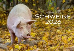 Cover Schweine Kalender 2026