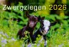 Kalender Zwergziegen 2026 - Bild 1