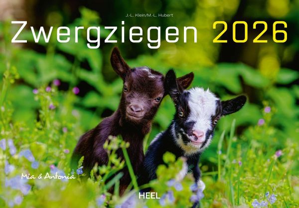 Kalender Zwergziegen 2026