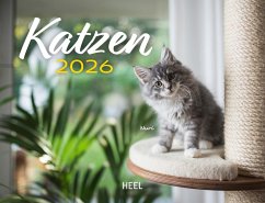 Cover Kalender Katzen 2026 Eintragkalender