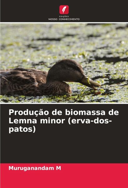Produção de biomassa de Lemna minor (erva-dos-patos)