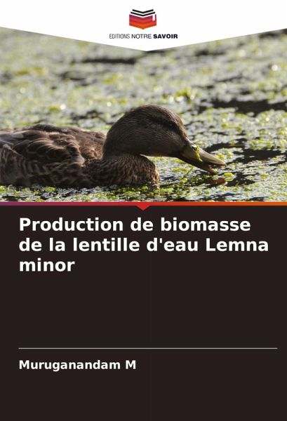 Production de biomasse de la lentille d'eau Lemna minor Production de biomasse de la lentille d'eau Lemna minor