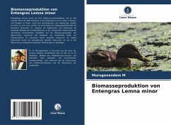 Biomasseproduktion von Entengras Lemna minor - M, Muruganandam