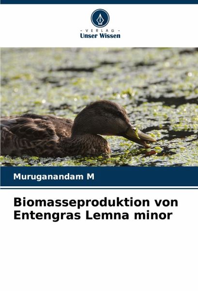 Biomasseproduktion von Entengras Lemna minor Biomasseproduktion von Entengras Lemna minor