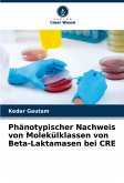 Phänotypischer Nachweis von Molekülklassen von Beta-Laktamasen bei CRE Phänotypischer Nachweis von Molekülklassen von Beta-Laktamasen bei CRE