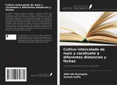 Cultivo intercalado de maíz y cacahuete a diferentes distancias y fechas - Mustapha, Mas-Ud; Salifu, Gumah