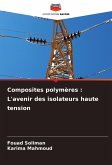 Composites polymères : L'avenir des isolateurs haute tension