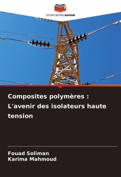 Cover Composites polymères : L'avenir des isolateurs haute tension