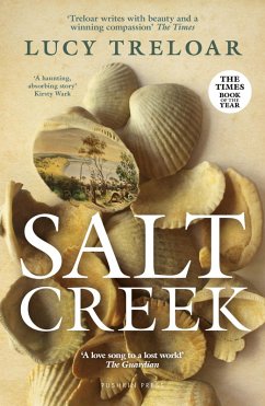Cover Salt Creek (eBook, ePUB)
