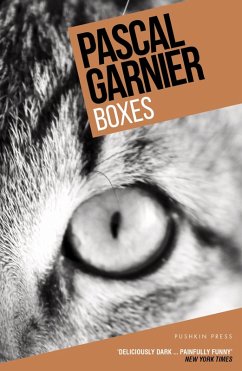 Cover Boxes (eBook, ePUB)