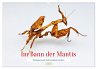 Im Bann der Mantis (Wandkalender 2026... - Bild 1