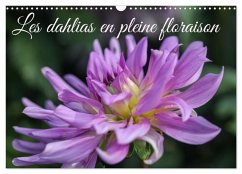 Cover Les Dahlias en pleine floraison (Calendrier mural 2026 DIN A3 vertical), CALVENDO calendrier mensuel