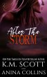 After The Storm: A Project Artemis... - Bild 1