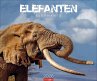 Elefanten Kalender 2026 - Bild 1