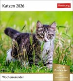 Katzen Postkartenkalender 2026 - Wochenkalender mit 53 Postkarten Katzen Postkartenkalender 2026 - Wochenkalender mit 53 Postkarten