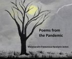 Poems From the Pandemic (eBook, ePUB)