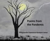 Poems From the Pandemic (eBook, ePUB)
