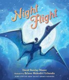 Night Flight Night Flight