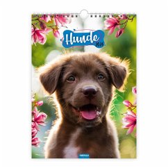 Cover Trötsch Classickalender Hunde 2026