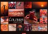 Colours of Nature Kalender 2026 - Bild 1