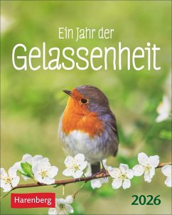 Ein Jahr der Gelassenheit Mini-Geschenkkalender 2026 - Artel, Ann Christin