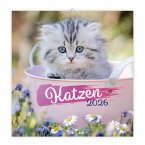 Trötsch Broschürenkalender Katzen 2026
