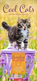 Cool Cats Familienplaner 2026 Cool Cats Familienplaner 2026