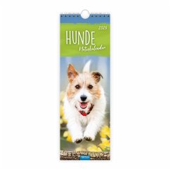 Cover Trötsch Streifenkalender Hunde 2026 Notizkalender