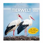 Trötsch Broschürenkalender Heimische Tierwelt 2026