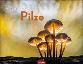 Wunderwelt der Pilze Kalender 2026 Wunderwelt der Pilze Kalender 2026