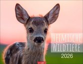 Heimische Wildtiere Kalender 2026 Heimische Wildtiere Kalender 2026