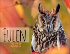 Eulen Kalender 2026