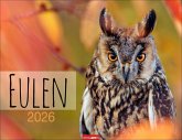 Eulen Kalender 2026 Eulen Kalender 2026