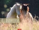 Islandpferde Kalender 2026 Islandpferde Kalender 2026
