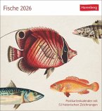 Fische Postkartenkalender 2026 - Postkartenkalender mit 53 historischen Zeichnungen Fische Postkartenkalender 2026 - Postkartenkalender mit 53 historischen Zeichnungen