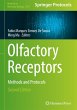Olfactory Receptors - Bild 1